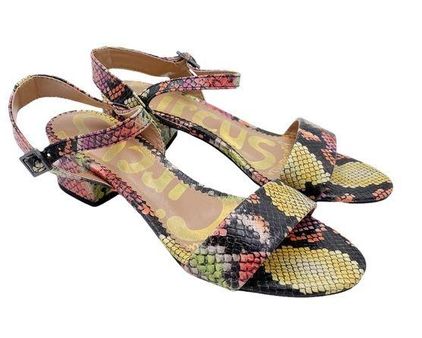 Circus by Sam Edelman Circus Sam Edelman Ibis Snakeskin