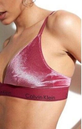 Calvin Klein, Intimates & Sleepwear, Womans Calvin Klein Plum Modern Soft  Cup Wireless Bravelvet Size Large