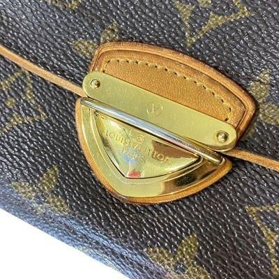 Louis Vuitton Astrid Oversized Long Monogram Brown Wallet