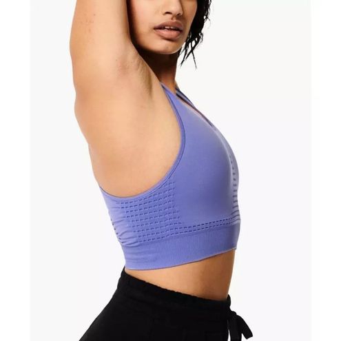 Stamina Sports Bra - Cornflower