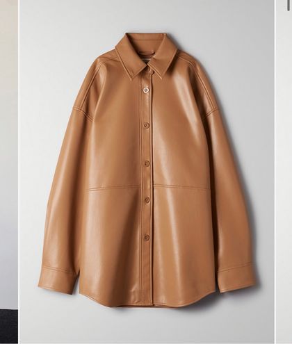 Aritzia Babaton Pelli Leather Jacket 