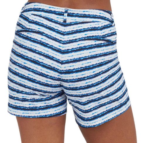 SPANX, Shorts, Spanx Sunshine Shorts 6 Blue Painted Stripe