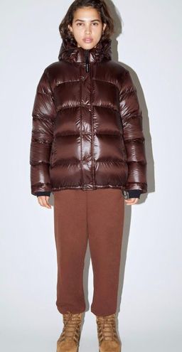 Aritzia Women's The Super Puff2O Men's Jacket in Ric Heather Mocha Brown Size Xs