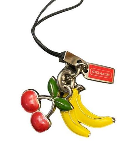 coach cherry keychain