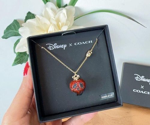 Happily Ever After? Coach unveils a new Disney collection for luxury  villains - Duty Free Hunter