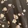 Fame and Partners NWOT  Black Cherry Blossom Mini Dress Photo 6