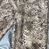These Three Boutique Snakeskin Flare Pants Photo 4