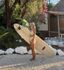 Surf's Up!