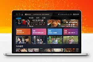 TV源码，支持苹果和TVBox接口，包含高级版本所有功能