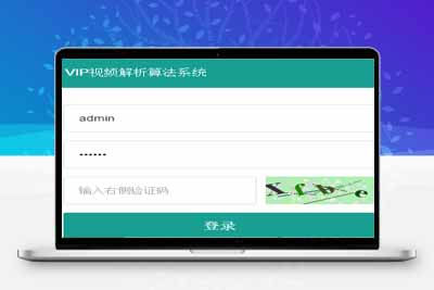 VIP视频解析算法系统，配合视频解析系统使用