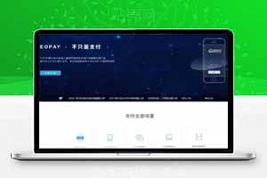 支付源码 第三方支付程序，api支付程序绝对可用