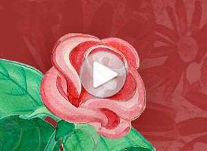  Tarjeta animada de Amor, Te quiero. 