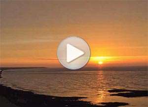  Tarjeta animada de Animo, Resurgir de la oscuridad. 