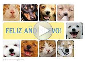  Tarjeta animada de A&ntilde;o Nuevo, Una sonrisa cada d�a. 