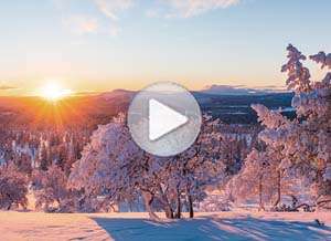 Tarjeta animada de A&ntilde;o Nuevo, Esperanza y alegr�a