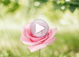  Tarjeta animada de Hola, Que tengas un bello d�a. 