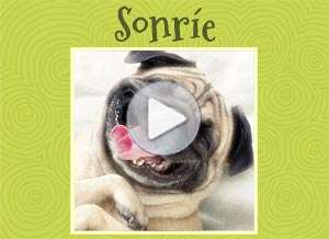  Tarjeta animada de Hola, Sonr�e!. 