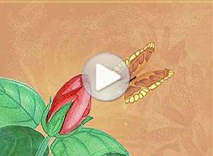  Tarjeta animada de Cumplea&ntilde;os, Alegr�a en tu cumplea�os . 