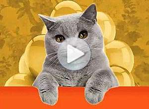  Tarjeta animada de Cumplea&ntilde;os, Un d�a de deseos cumplidos. 