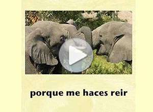  Tarjeta animada de D&iacute;a del amigo, Gracias por todo. 