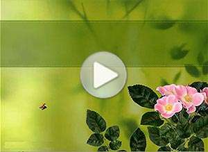  Tarjeta animada de D&iacute;a de la madre, El amor florece hoy. 