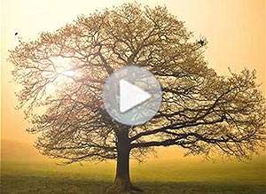  Tarjeta animada de D&iacute;a del Padre, Un padre sabe.... 