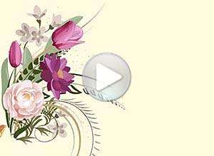  Tarjeta animada de D&iacute;a de la Secretaria, Feliz d�a de la secretaria. 