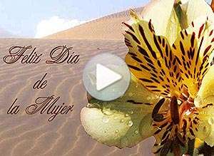  Tarjeta animada de D&iacute;a de la mujer, Oasis. 