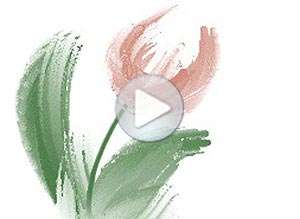 Tarjeta animada de Casamientos, Felicidades