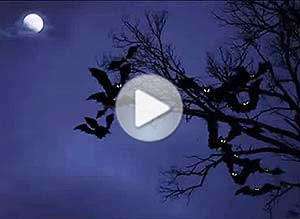  Tarjeta animada de Halloween, Se viene la noche.... 