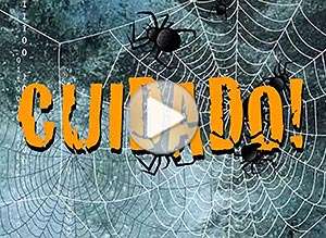  Tarjeta animada de Halloween, Todo puede suceder. 