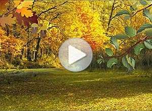  Tarjeta animada de Oto&ntilde;o, Armon�a y felicidad. 