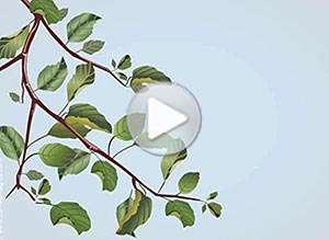  Tarjeta animada de Oto&ntilde;o, Feliz oto�o!. 