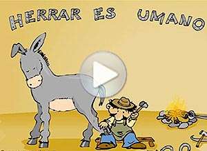  Tarjeta animada de Perdon, Errar es humano. 