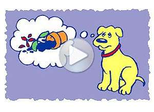  Tarjeta animada de Perdon, �puedo remediarlo?	. 