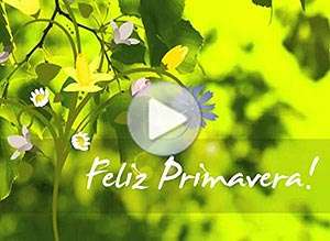  Tarjeta animada de Primavera, Los m�s bellos colores de la vida. 