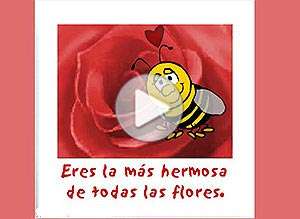  Tarjeta animada de Amor, Eres una flor. 