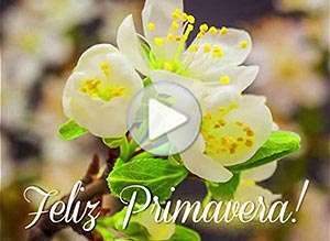 Tarjeta animada de Primavera, La magia de la naturaleza