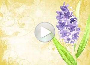  Tarjeta animada de D&iacute;a del amigo, Te quiero por ser un amigo especial. 