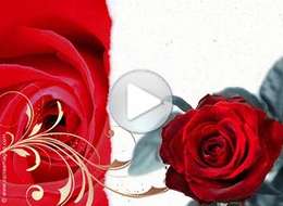 Imagen de Love para compartir gratis. I love you and I choose you forever