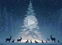 Imagen de Christmas para compartir gratis. Peace, joy and magic	