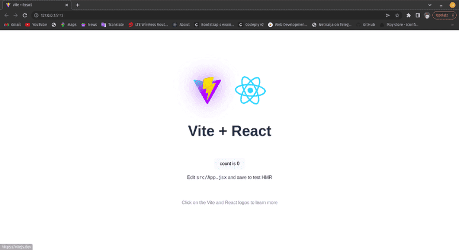 A successful project setup with Vite.