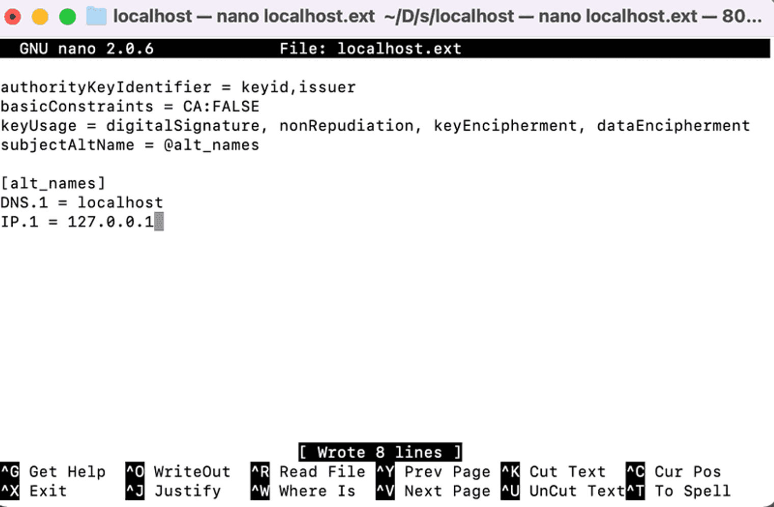 localhost nano in the terminal