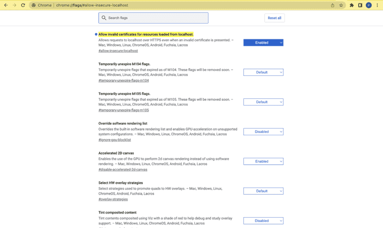 localhost URL on Chrome browser to enable the allow invalid certificates for resources loaded from localhost
