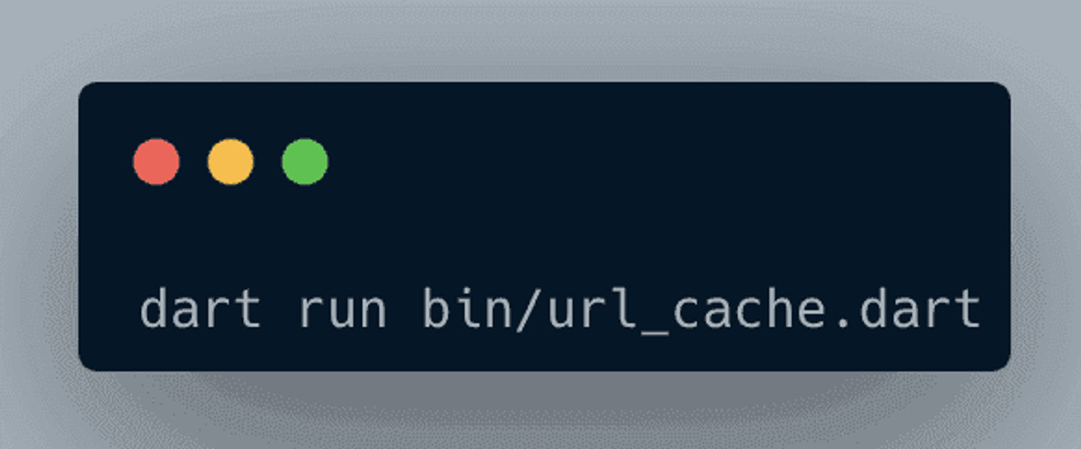 running the dart code using the dart run bin/url_cache.dart command