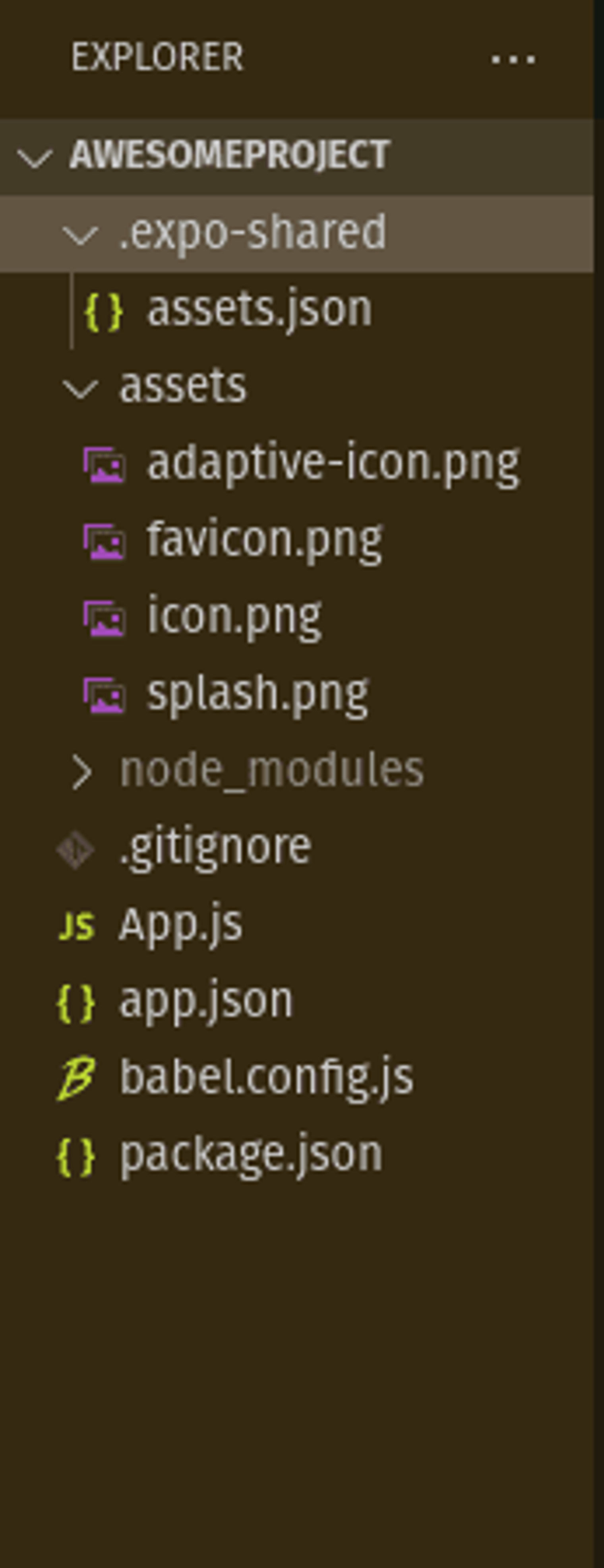 The React native file structure.