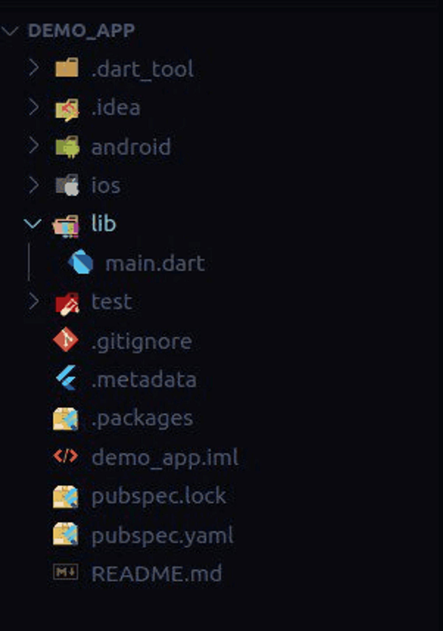 The Flutter file structure.
