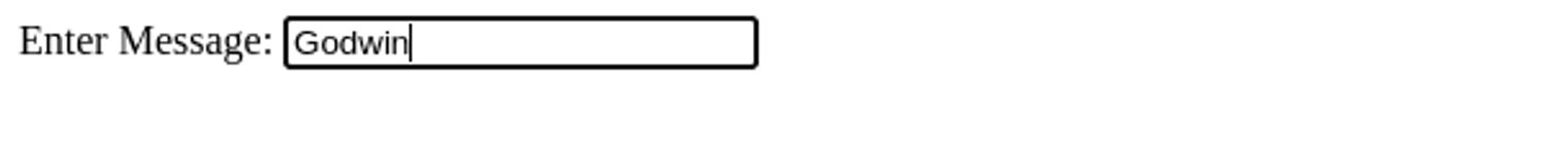 text input in the HTML message input