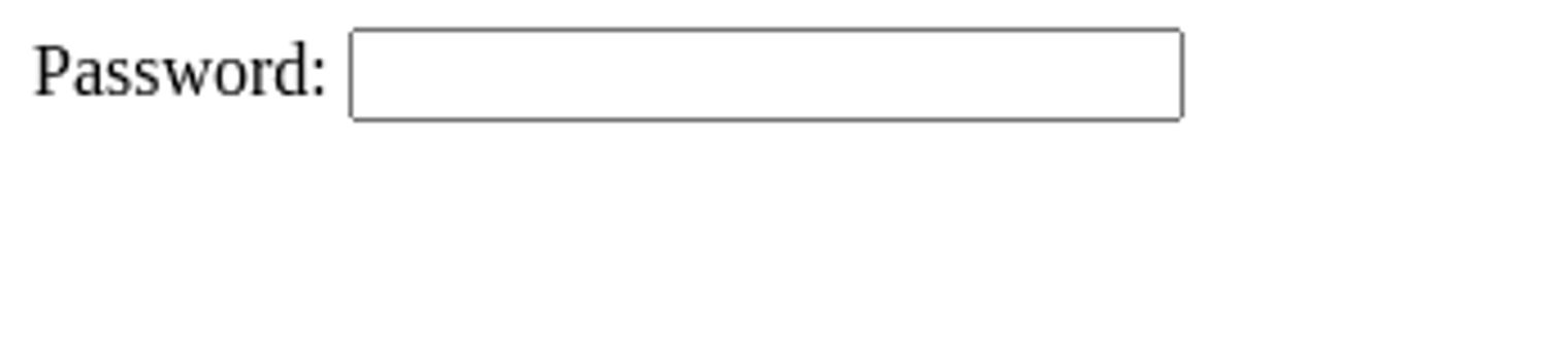 image showing the result of some HTML code, it shows a password input box