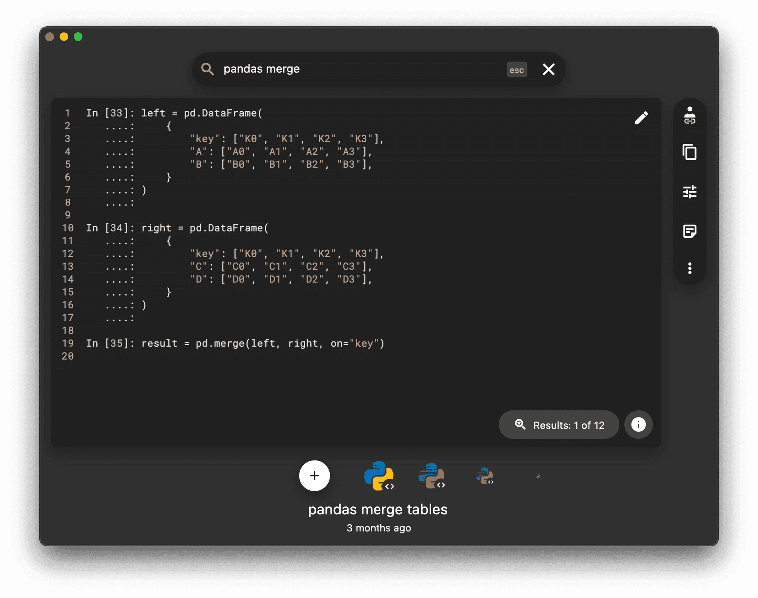Pandas inside of Pieces code view